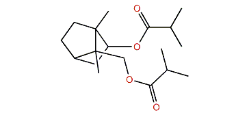 8-Isobutyryloxy-isobornyl isobutyrate